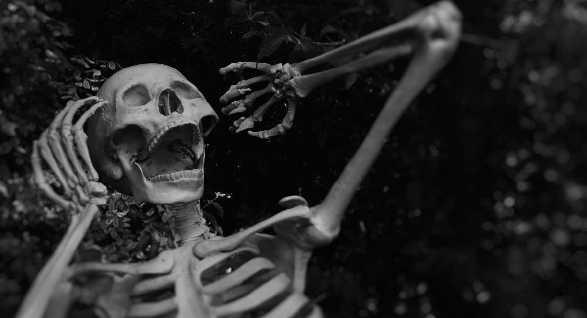 Photo courtesy https://unsplash.com/@sabinamusicrich